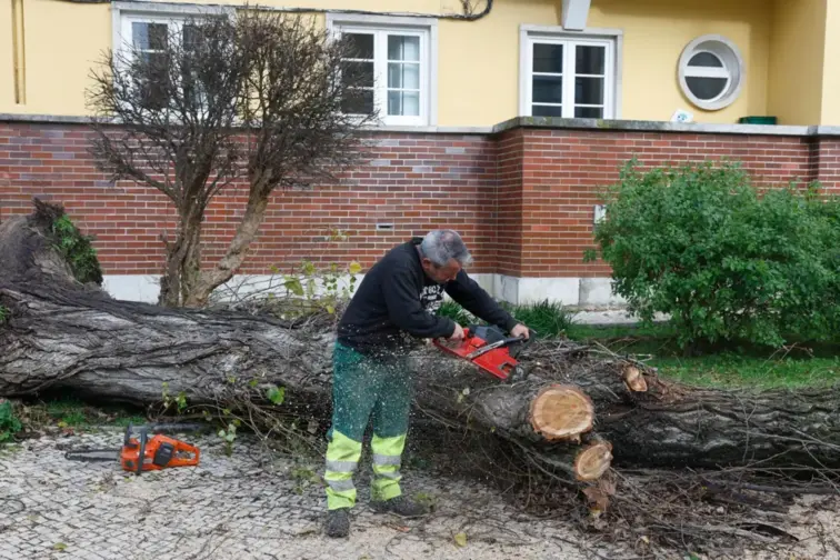 Região Oeste com 226 deslocados e 35 desalojados desde 28 de janeiro